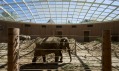 První výběh slonů ve velkém proskleném pavilonu