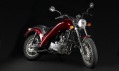 Schaumann David - JAWA Legend 650