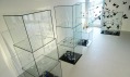 Výstava Patrik Illo s názvem Glass ForM v rámci Designblok 08