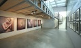 Pohled do Langhans Galerie na výstavu Erwin Olaf - Choreografie citů