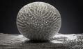 Výtvarný objekt Pollen IV od Tomáše Medka pro AMOS Design