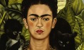 Ukázka z výstavy Frida Khalo v Martin-Gropius-Bau