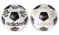 Vybrané míče pro předchozí mistrovství světa - Roky 1974 a 1970