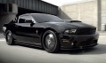 Ford Mustang ve verzi na rok 2011