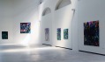 Výstavy současných malířů v brněnské Wannieck Gallery