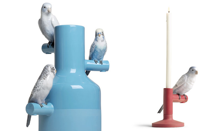 Qubus ukazuje na Designbloku kolekci Parrot Party