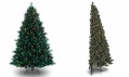 Výběr z vánočních stromků americké značky Treetopia