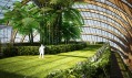 Ekologická budova Archa od ruského Remistudio
