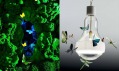Ingo Maurer na rok 2011: Biotope a J. B. Schmetterling