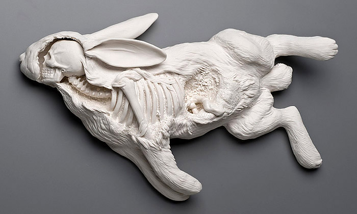 Kate MacDowell tvoří genetické mutace zvířat i lidí