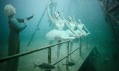 Andreas Franke a jeho fotografie podvodního života ze série Vandenberg