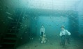 Andreas Franke a jeho fotografie podvodního života ze série Vandenberg