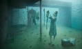 Andreas Franke a jeho fotografie podvodního života ze série Vandenberg