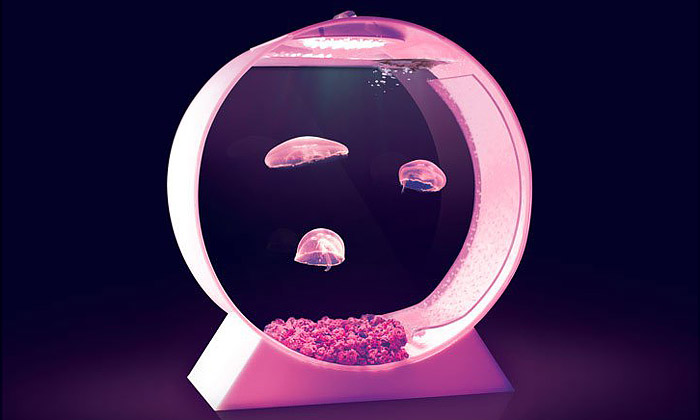 Medúzy v akváriích od Jellyfish Art hitem interiérů