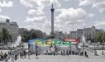 Vítězný návrh na informační pavilon letních olympijských her Londýn 2012