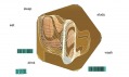 Digitální záchranný origami úkryt od Lava