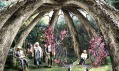 Přírodní pavilon nazvaný Trpělivý zahradník v Miláně od firmy Visiondivision