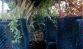 Ukázka jednoho z výsledků projektu Make A Forest se zalesněním autobusu