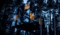 Zrcadlová krychle TreeHotel v prodeji jako montovaný dům MirrorCube