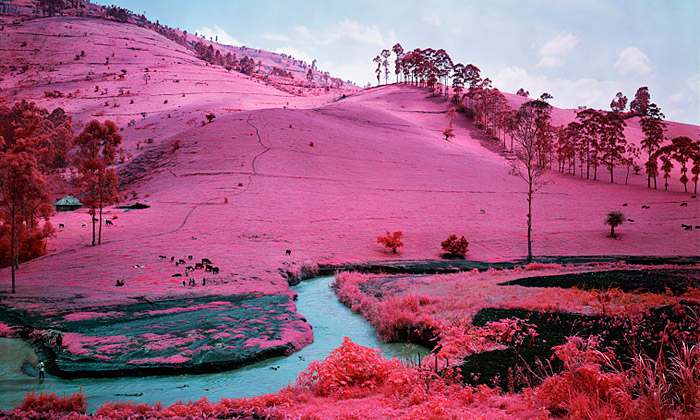 Richard Mosse nafotografoval Kongo infračerveně