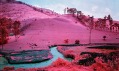 Richard Mosse a ukázka z jeho série fotografií Infra