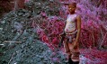 Richard Mosse a ukázka z jeho série fotografií Infra