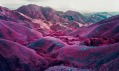 Richard Mosse a ukázka z jeho série fotografií Infra