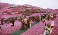 Richard Mosse a ukázka z jeho série fotografií Infra