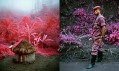 Richard Mosse a ukázka z jeho série fotografií Infra