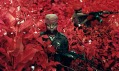 Richard Mosse a ukázka z jeho série fotografií Infra