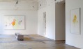 Ukázka z výstavy Paralelní linie umělců Adrieny Šimotové a Josefa Bolfa