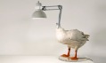 Sebastian E a jeho kachní lampa