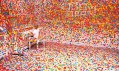 Yayoi Kusama a její pokoj The Obliteration Room v Queensland Art Gallery