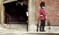 Banksy a jeho streetartová díla ve Velké Británii