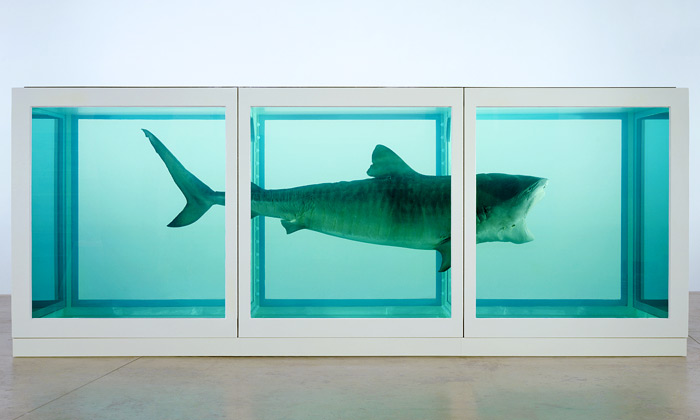 Damien Hirst vystavuje v Londýně žraloky i motýly