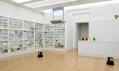 Ukázka z výstavy Damien Hirst v Tate Modern v Londýně