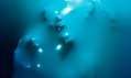 Julien Palast a jeho série fotografií Skin Deep