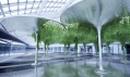 Christopher Jenner a jeho projekt Kyslík pro letiště