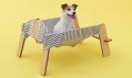 Architecture for Dogs - Torafu Architects