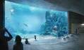 Vítězný projekt na basilejské oceanárium od Boltshauser Architekten