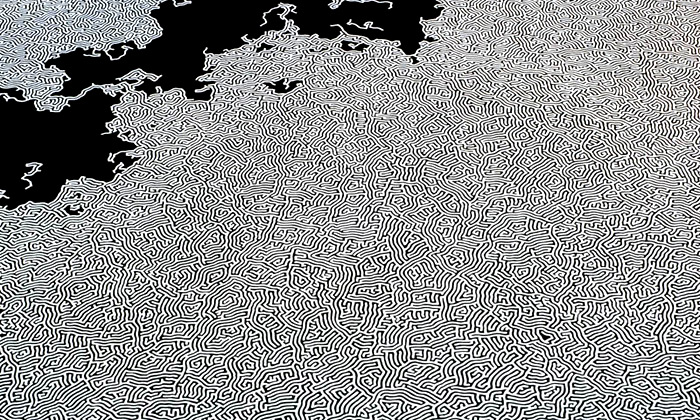 Motoi Yamamoto tvoří obrovské instalace jen ze soli