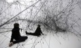 Tomás Saraceno a jeho 14 Billion