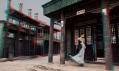 Matjaž Tančič a jeho sŕie módních fotografií Mimicry China