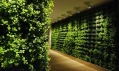 Greenworks a jejich Plant Walls