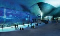 Akvárium The Blue Planet od 3XN na vizualizacích