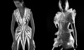 Starší kolekce Iris van Herpen s názvem Micro Haute Couture