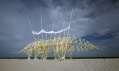 Theo Jansen a jeho živočichové Strandbeests