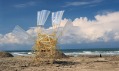 Theo Jansen a jeho živočichové Strandbeests