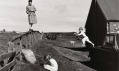 Kniha nakladatelství Taschen s názvem Linda McCartney. Life in Photographs