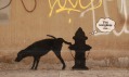 Banksy a jeho díla v ulicích města New York